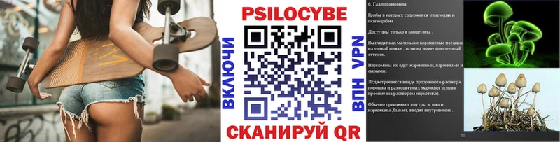 купить наркотики сайты  Скопин  Псилоцибиновые грибы MAGIC MUSHROOMS 